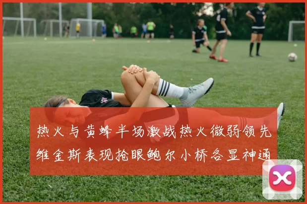 热火与黄蜂半场激战热火微弱领先维金斯表现抢眼鲍尔小桥各显神通